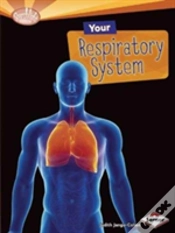 Capa do artigo Sb How Does Your Body Work Respi