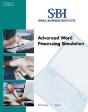 Sbi - Preview