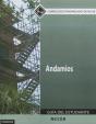 Scaffolding Trainee Guide In Spanish, Level 1 (International Version) - Preview
