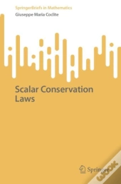 Scalar Conservation Laws