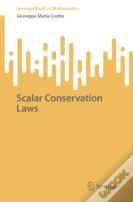 Scalar Conservation Laws