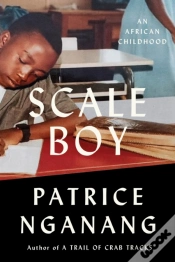 Capa do artigo Scale Boy