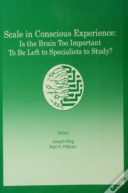 Capa do artigo Scale In Conscious Experience
