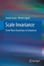 Scale Invariance - Preview