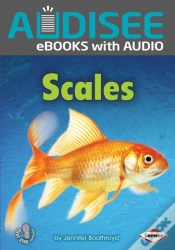 Capa do artigo Scales