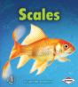 Scales - Preview