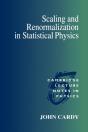 Scaling And Renormalization In Statistical Physics - Preview