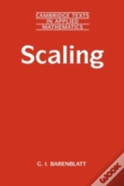 Capa do artigo Scaling