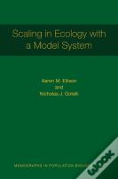 Scaling In Ecology With A Model System