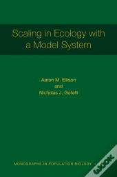 Scaling In Ecology With A Model System