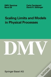 Scaling Limits And Models In Physical Processes