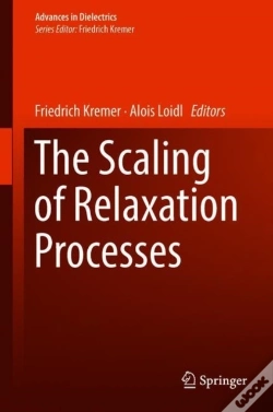 Capa do artigo Scaling Of Relaxation Processes