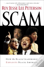 Capa do artigo Scam