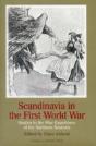 Scandinavia In The First World War - Preview