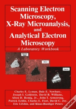 Capa do artigo Scanning Electron Microscopy, X-Ray Microanalysis, And Analytical Electron Microscopy