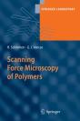 Scanning Force Microscopy Of Polymers - Preview
