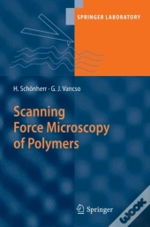 Scanning Force Microscopy Of Polymers
