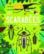 Scarabées Et Autres Coléoptères - Preview