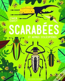 Capa do artigo Scarabées Et Autres Coléoptères