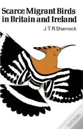 Scarce Migrant Birds Of Britain And Ireland