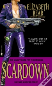 Capa do artigo Scardown