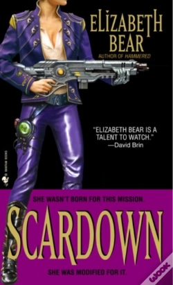Capa do artigo Scardown