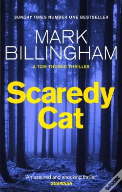 Capa do artigo Scaredy Cat