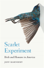 Scarlet Experiment - Preview