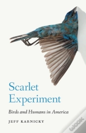 Capa do artigo Scarlet Experiment