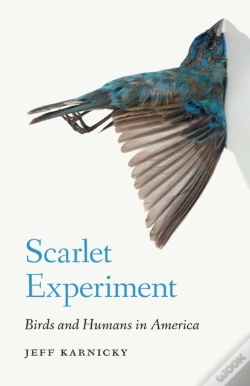 Capa do artigo Scarlet Experiment