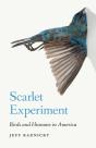 Scarlet Experiment - Preview