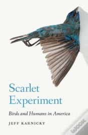 Capa do artigo Scarlet Experiment