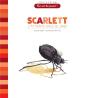 Scarlett : L'Attrape-Brouillard - Preview