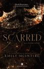 Scarred - Preview