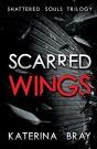 Scarred Wings: Shattered Souls Trilogy B - Preview