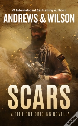 Capa do artigo Scars