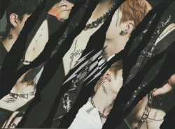 Capa do artigo Scars / - CD