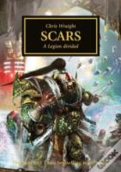 Capa do artigo Scars