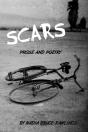 Scars - Preview