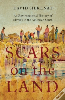 Capa do artigo Scars On The Land
