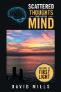 Scattered Thoughts  From A Scattered Mind - Preview