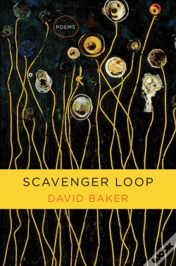 Capa do artigo Scavenger Loop