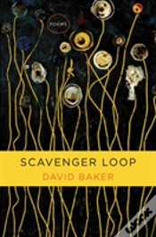 Capa do artigo Scavenger Loop