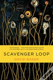 Capa do artigo Scavenger Loop