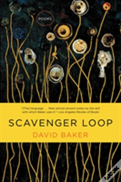 Capa do artigo Scavenger Loop