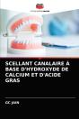 Scellant Canalaire A Base D'Hydroxyde De Calcium Et D'Acide Gras - Preview