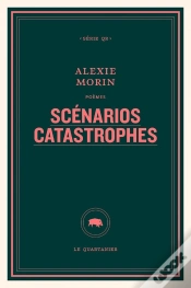 Capa do artigo Scenarios Catastrophes