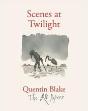Scenes At Twilight (The Qb Papers) /Anglais - Preview