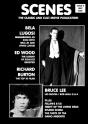 Scenes Issue 5 - Preview