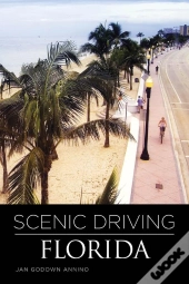 Scenic Driving Florida